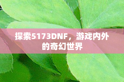 探索5173DNF，游戏内外的奇幻世界