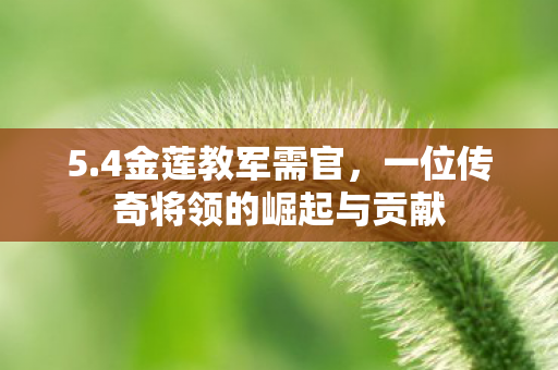 5.4金莲教军需官，一位传奇将领的崛起与贡献