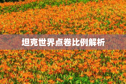 坦克世界点卷比例解析 坦克世界点卷比例解析