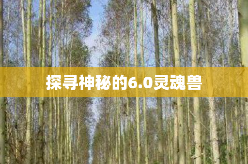 探寻神秘的6.0灵魂兽