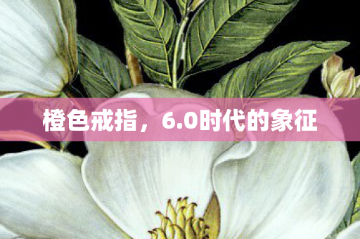 橙色戒指，6.0时代的象征