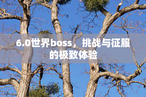 6.0世界boss,挑战与征服的极致体验 6.0世界boss,挑战与征服的极致体验