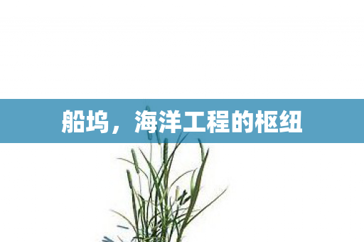 船坞，海洋工程的枢纽