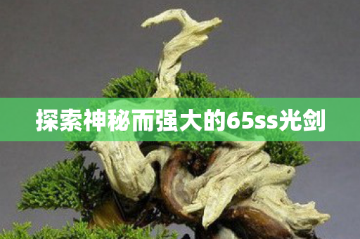 探索神秘而强大的65ss光剑 探索神秘而强大的65ss光剑
