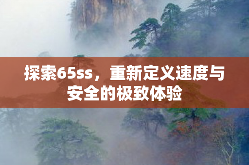 探索65ss,重新定义速度与安全的极致体验 探索65ss,重新定义速度与安全的极致体验