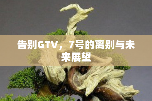 告别GTV，7号的离别与未来展望