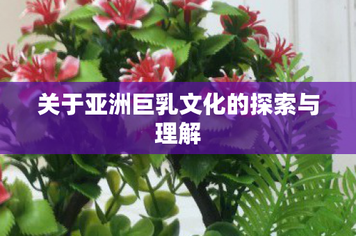 关于亚洲巨乳文化的探索与理解