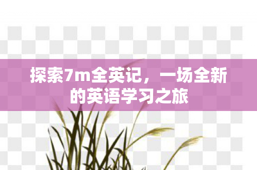 探索7m全英记，一场全新的英语学习之旅
