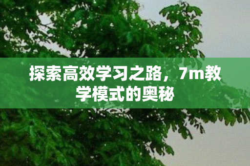 探索高效学习之路,7m教学模式的奥秘 探索高效学习之路,7m教学模式的奥秘