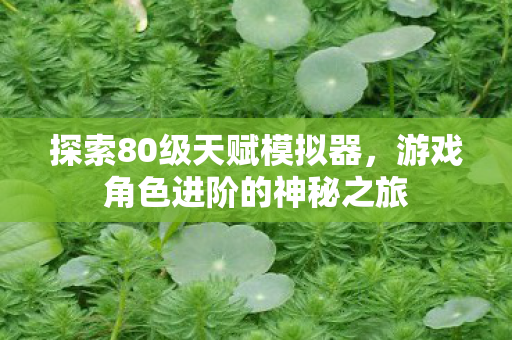 探索80级天赋模拟器，游戏角色进阶的神秘之旅