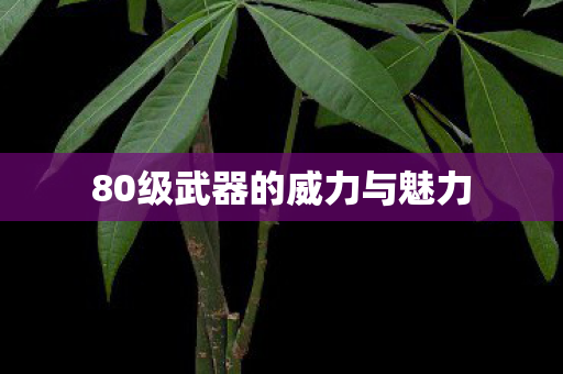 80级武器的威力与魅力