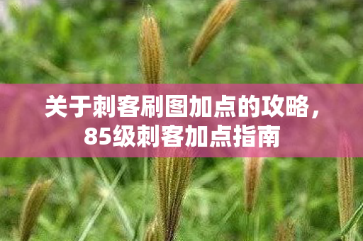 关于刺客刷图加点的攻略，85级刺客加点指南
