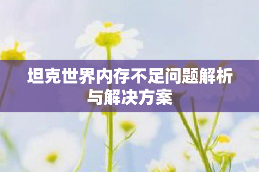 坦克世界内存不足问题解析与解决方案