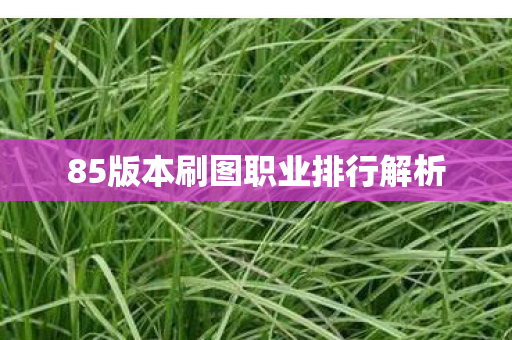 85版本刷图职业排行解析