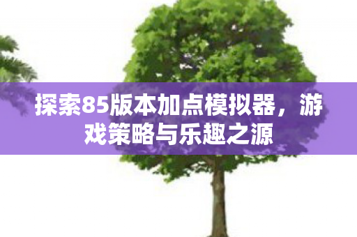 探索85版本加点模拟器，游戏策略与乐趣之源
