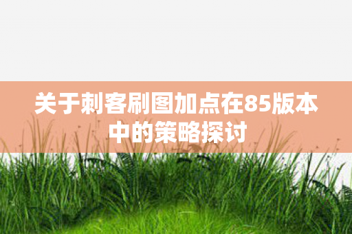 关于刺客刷图加点在85版本中的策略探讨