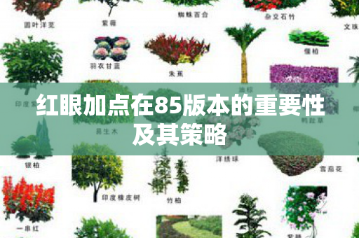 红眼加点在85版本的重要性及其策略