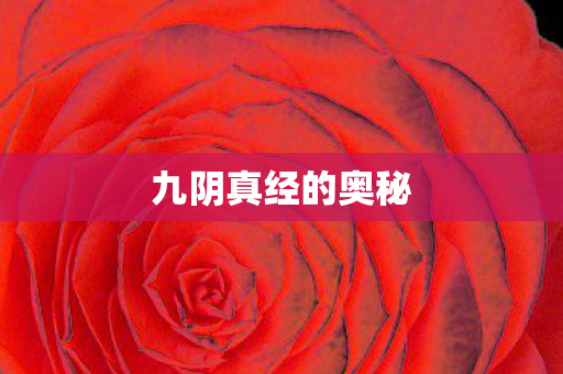 九阴真经的奥秘