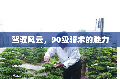 驾驭风云，90级骑术的魅力
