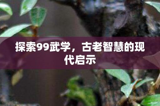 探索99武学，古老智慧的现代启示