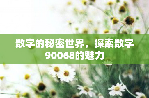 数字的秘密世界，探索数字90068的魅力