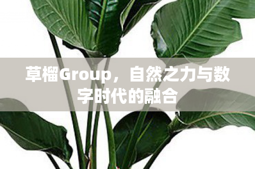 草榴Group，自然之力与数字时代的融合