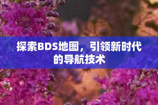 探索BDS地图,引领新时代的导航技术 探索BDS地图,引领新时代的导航技术
