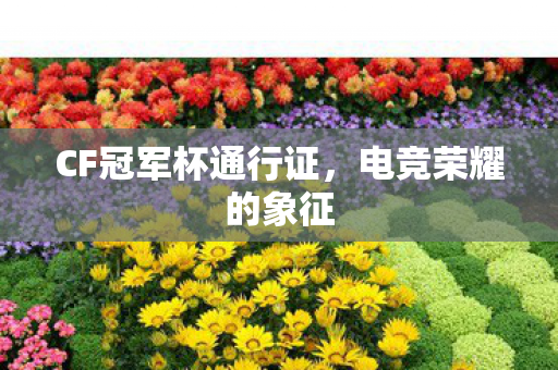 CF冠军杯通行证，电竞荣耀的象征