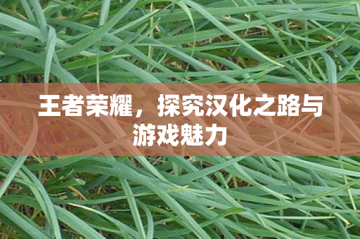 王者荣耀，探究汉化之路与游戏魅力