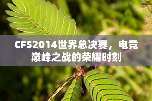 CFS2014世界总决赛，电竞巅峰之战的荣耀时刻