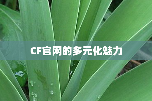 CF官网的多元化魅力