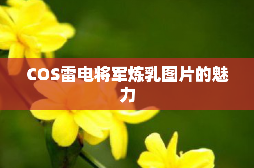 COS雷电将军炼乳图片的魅力