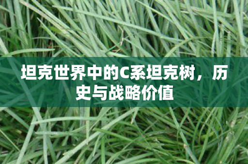 坦克世界中的C系坦克树，历史与战略价值