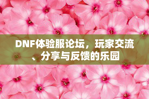 DNF体验服论坛，玩家交流、分享与反馈的乐园