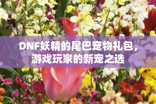 DNF妖精的尾巴宠物礼包，游戏玩家的新宠之选