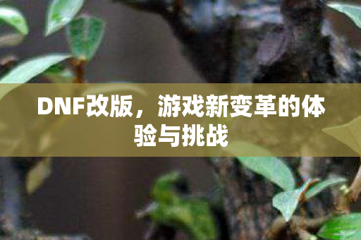 DNF改版,游戏新变革的体验与挑战 DNF改版,游戏新变革的体验与挑战