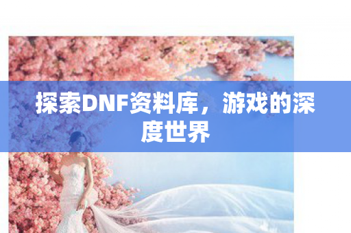 探索DNF资料库，游戏的深度世界