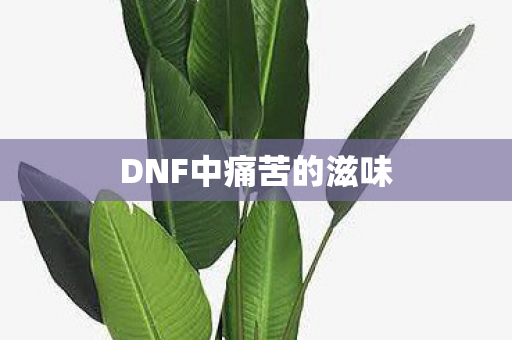DNF中痛苦的滋味