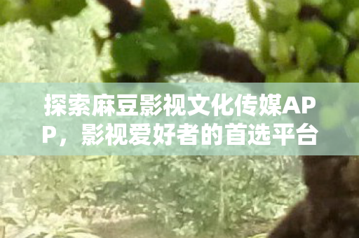 探索麻豆影视文化传媒APP，影视爱好者的首选平台