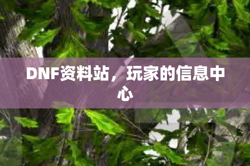 DNF资料站，玩家的信息中心