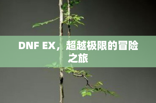 DNF EX，超越极限的冒险之旅