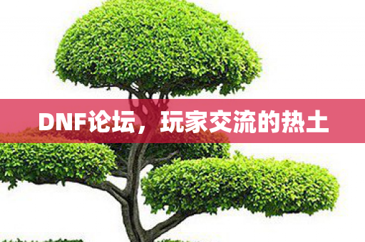 DNF论坛，玩家交流的热土