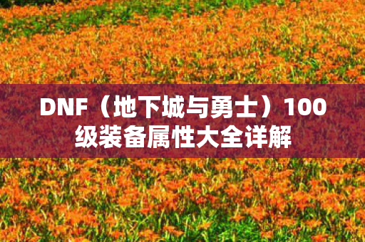 DNF（地下城与勇士）100级装备属性大全详解