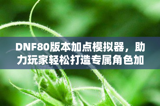 DNF80版本加点模拟器，助力玩家轻松打造专属角色加点方案