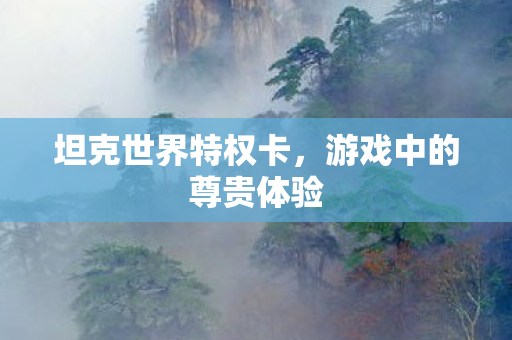 坦克世界特权卡，游戏中的尊贵体验