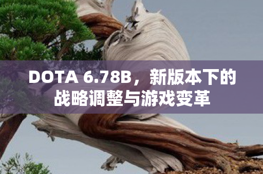 DOTA 6.78B,新版本下的战略调整与游戏变革 DOTA 6.78B,新版本下的战略调整与游戏变革