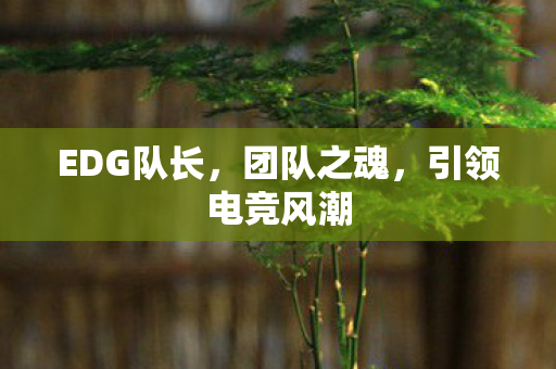 EDG队长,团队之魂,引领电竞风潮 EDG队长,团队之魂,引领电竞风潮