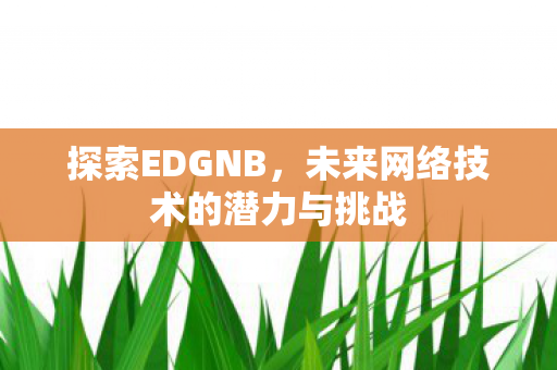探索EDGNB,未来网络技术的潜力与挑战 探索EDGNB,未来网络技术的潜力与挑战