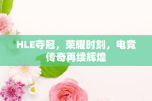 HLE夺冠,荣耀时刻,电竞传奇再续辉煌 HLE夺冠,荣耀时刻,电竞传奇再续辉煌