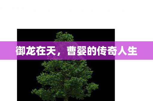 御龙在天，曹婴的传奇人生